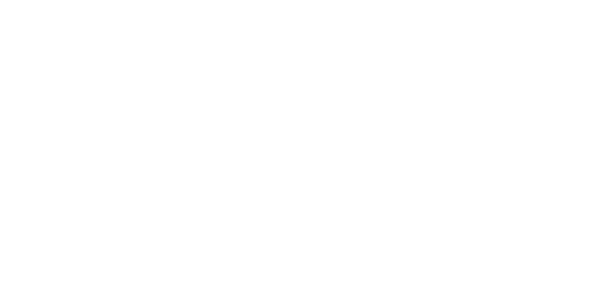 vital business services logo